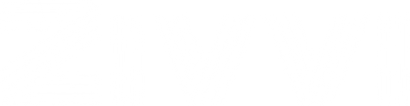 ZIVVI